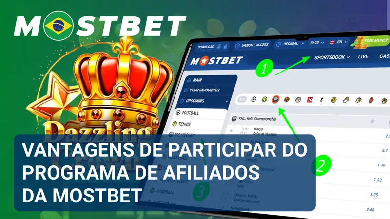 Gráficos de desempenho, materiais promocionais e ferramentas de acompanhamento aparecem reunidos na área do parceiro.